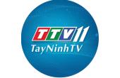 TTV11
